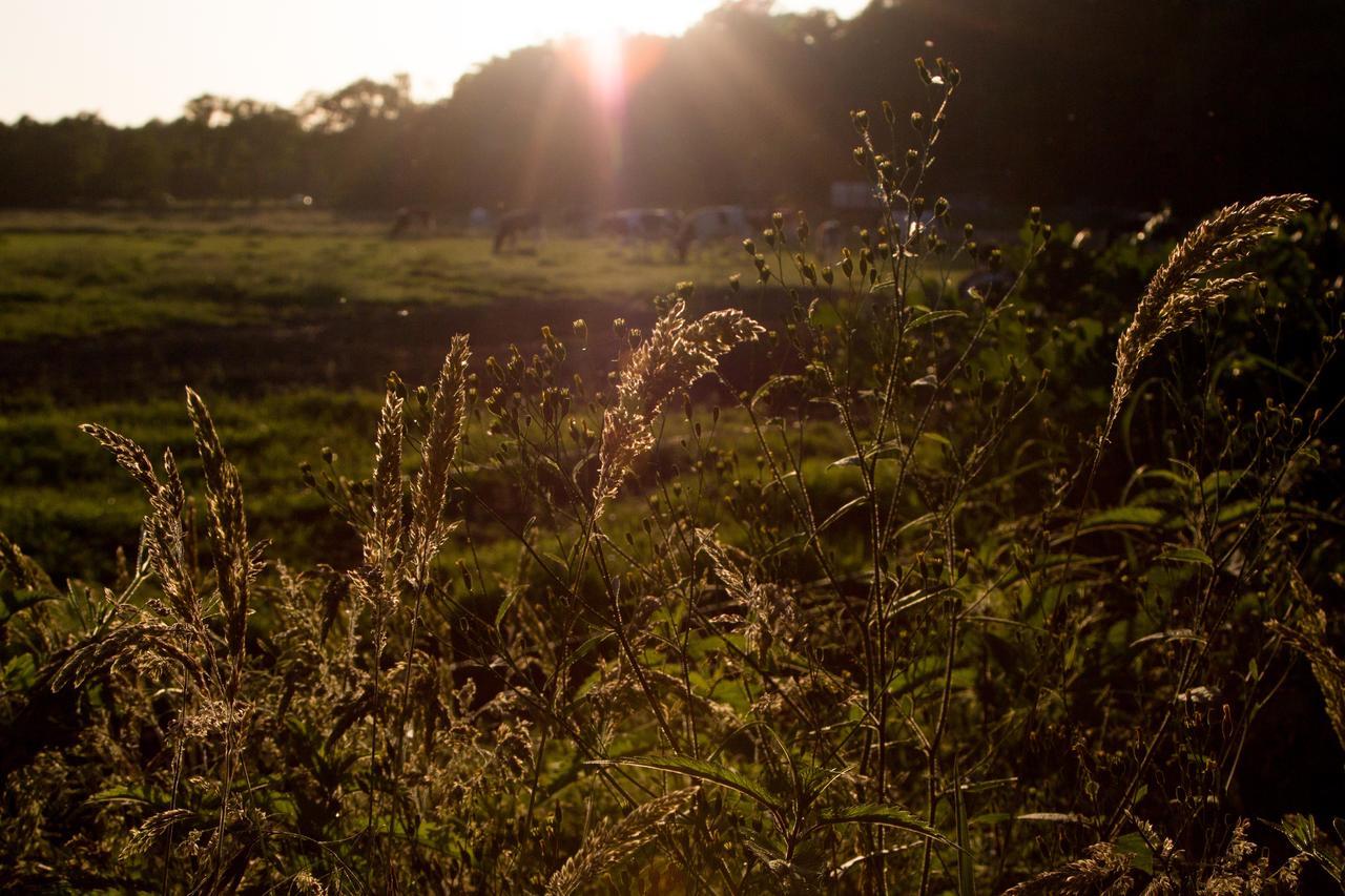 Biotel Achterhoek Lievelde Bagian luar foto
